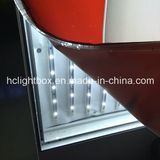 Tension UV Fabric Slim Light Box for Advertising