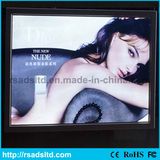 Hot-Sale Advertising Display LED Light Box