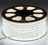 China High Voltage AC 220V/110V LED Flexible Strip Light