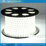 SMD5050 Christmas LED Strip Light for Decoration 50m 100m IP65