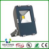 10W 20W China LED Flood Light with CE RoHS