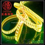 Outdoor LED Light Strip