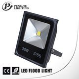 2015 New Design COB 30W Outdoor IP65 LED Flood Lights