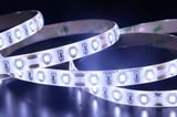 Flex LED Strip Light with 12V DC Input Voltage