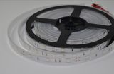 CE RoHS Approved SMD5050 30/60/120 LEDs/M 5m/Roll LED Strip Light