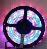 LED Strip Light--30LEDS/M SMD5050 36W-RGB