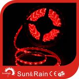 Light Light Light LED Strip 12V