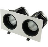 Spray White+Black Inner Ring 50W COB LED Wall Washer