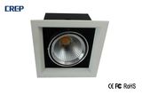 Single Lamp Citizen COB Chip 7W 630lm LED Down Light