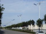 5 Years Warranty Solar Street Light 30W-160W with CE