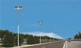 Wbr098 30W Single Lamp Solar LED Street Light