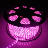 Triple Die 60LEDs Light 10-12lm/LED Flexible LED Strip (G-5050-30-220V-3-1012)