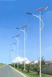 Wbr010 30W Single Lamp Solar LED Street Light