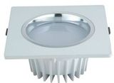 LED Down Light 3