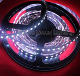 Flexible SMD 5050 LED Strip Light with 96LED