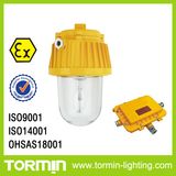 Energy Saving Electrodeless Explosion Proof Light