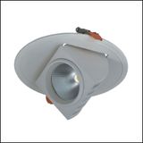 High Quality 30W COB LED Down Light (AW-SD001-30W)