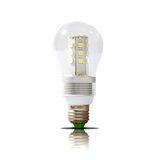 LED Bulb Light (LD60-21SMD-ALU)