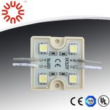 SMD 5050 Waterproof LED Module, 4LEDs/PC