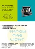 LED Spotlight - 10