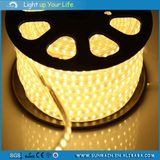 SMD New Style LED Strip Light