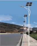 30W 60W 80W LED Solar Light