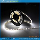 Theme Park SMD3528 RGB LED Strip Light 5m