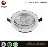 LED Ceiling Light