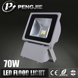 Outdoor Use Samsung Chips LED Flood Light for Garden