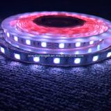 UL LED Strip 5050 60 LEDs/M LED Light