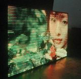 Tri-Color LED Display