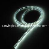 SMD5050 LED Light Strip (SYT-DD-5050W-60)