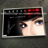 High Bright Aluminum Frame LED Light Box with Advertising