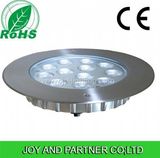 316 Stainless Steel LED Underwater Pool Lights with 12W (JP948121-AS)