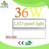 LED Panel Light 300X1200mm