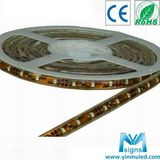 Waterproof SMD 3528 RGB LED Strip Light (LS-S3560-RGB)