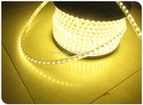 220V 60SMD 5050 LED Strip Light