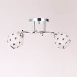 2 Light Small Chandelier Glass Ceiling Lamp T6011-2