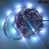 SMD5050 White LED Flexible Strip Light