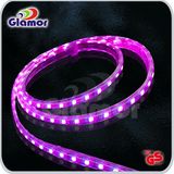 LED Strip Light (CE Approved)