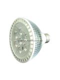 LED PAR Light (XLP-PAR-30)