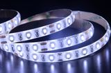 Stable Color Light Uniformity SMD2835 24V LED Tape Lights