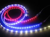 AC110/220V SMD3528 RGB LED Strip Flexible Light