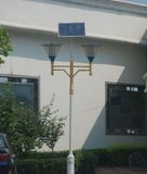 15W Solar LED Garden Light (YCLG15)