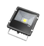 Competitive Low Power 20W COB LED Flood Light