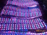 LED Module