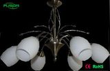 European Glass Chandelier in Several Lamp (D-8103/6)