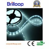 SMD5050 Flexible LED Strip Light (BLP-STPA30)