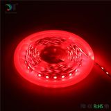 12V Flexible 5050 Waterproof Strip Light LED