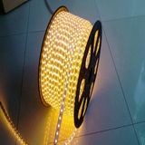 220V Waterproof SMD 5050 High Voltage LED Strip Lights